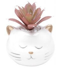 Cachepot Ceramica com Planta Artificial Cat Face Branco - 1