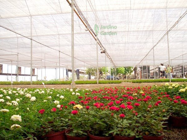 TELA SOMBRITE AGRÍCOLA TERMO REFLETORA PRATA 20% 4 X 20 MTS - 3