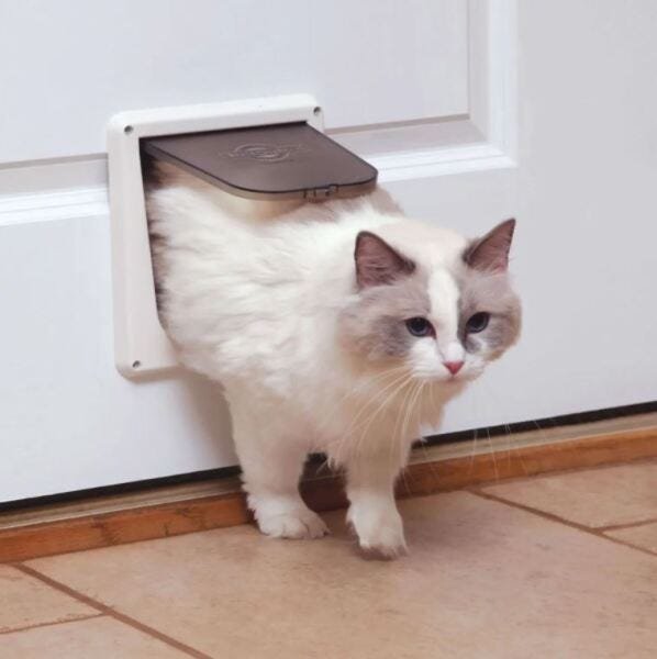 Porta Cat Com Travamento De 4 Fases - PetSafe - 5