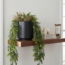 Ver imagem 4 de Kit 9 Pendentes de Eucalipto Artificial Realista 87 cm Folhagem Permanente para Vasos e Jardins