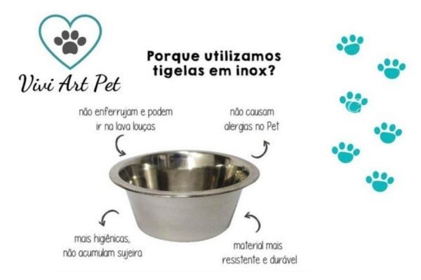 Comedouro Bebedouro Duplo Para Gatos Tigelas em Inox e Madeira Várias Cores:Branca e Azul - 4