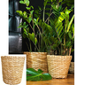 Vaso de Plantas decoração cachepot Taboa Afunilado M - 25x25x26 - 1