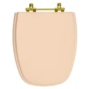 Ver imagem 1 de Tampa de Vaso Monte Carlo Rosa Floral para bacia Deca Com Ferragem Dourada