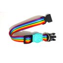 Ver imagem 3 de Coleira Seda 25mm arco iris Tamanho Único (32cm49cm)