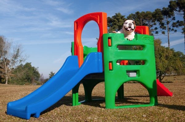 Playground Pet Miniplay Parque de Plástico Resistente para Cachorro e Gato Freso - 9