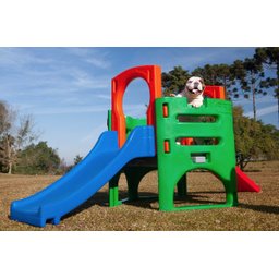 Playground Pet Miniplay Parque de Plástico Resistente para Cachorro e Gato Freso - 9