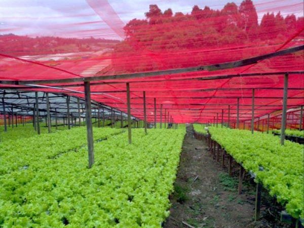 Tela De Sombreamento Vermelho Ultranet 35 3x10m - 4