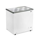 Ver imagem 1 de Freezer Conservador Expositor Horizontal Dupla Ação Tampa de Vidro Eco Gelo 156l Eeh200xx 220v -