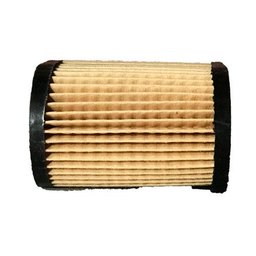 Filtro de Ar para Motor Cortador de Grama Tecumseh 3,5 - 4Hp - 3