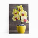 Ver imagem 1 de Quadro Orquídeas Amarelas Flor em Vaso Canvas 140x90cm
