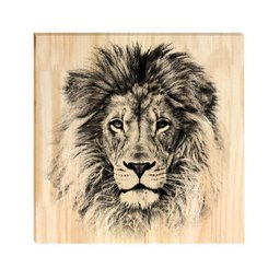 Kit 3 Quadros Decorativos Pinus Flor Leão Lar Família Sala - 5