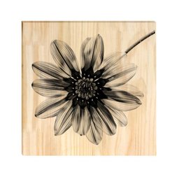 Kit 3 Quadros Decorativos Pinus Flor Leão Lar Família Sala - 3