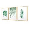 Kit 3 Quadros Decorativos Folhagem Sala Plantas Folhas Verde - 1