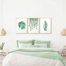 Kit 3 Quadros Decorativos Folhagem Sala Plantas Folhas Verde - 2