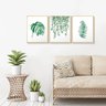 Kit 3 Quadros Decorativos Folhagem Sala Plantas Folhas Verde - 4