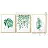 Kit 3 Quadros Decorativos Folhagem Sala Plantas Folhas Verde - 3
