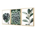 Ver imagem 1 de Kit 3 Quadros Decorativos para Sala Folhagens Plantas Verdes