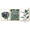 Ver imagem 3 de Kit 3 Quadros Decorativos para Sala Folhagens Plantas Verdes