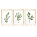 Ver imagem 1 de Kit 3 Quadros Decorativos Folhagem Verde Natureza Jardim Sala