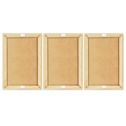 Kit 3 Quadros Decorativos Sala Escritório Folhas Verde Natureza Costela Adão Plantas - 4