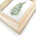 Ver imagem 3 de Kit 3 Quadros Decorativos Sala Escritório Folhas Verde Natureza Costela Adão Plantas