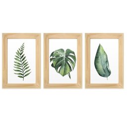 Kit 3 Quadros Decorativos Sala Escritório Folhas Verde Natureza Costela Adão Plantas - 1