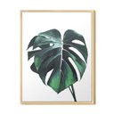 Ver imagem 1 de Quadro para Decoração Jardim Sala Folhas Costela de Adao Plantas Quarto Mdf