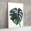 Ver imagem 4 de Quadro para Decoração Jardim Sala Folhas Costela de Adao Plantas Quarto Mdf