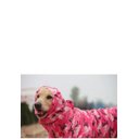 Ver imagem 7 de Capa de chuva para cachorro de grande porte Camuflada Rafs