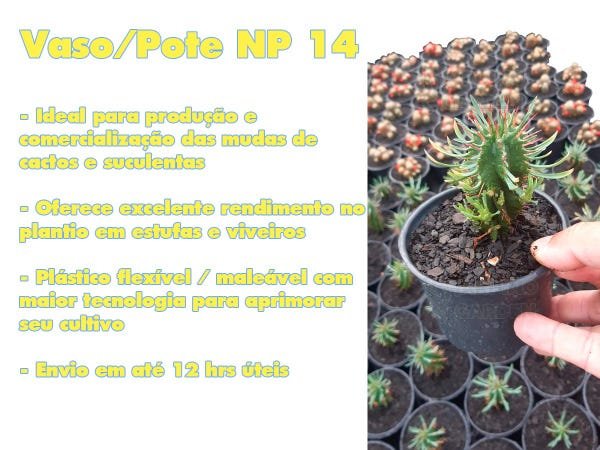 VASOS POTES 14 FLEXÍVEL LEMBRANCINHAS PLANTAS FLORES 150 UND - 4