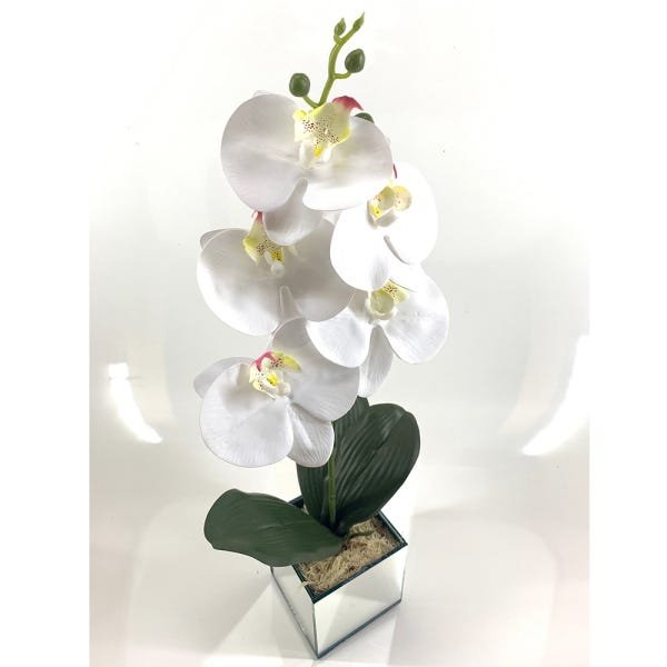 Arranjo Completo Orquídeas Artificiais Silicone 3d - 2