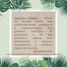 Difusor Quartzo Branco Bruto - 4