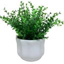Ver imagem 1 de Vaso cerâmico branco centro de mesa com planta artificial