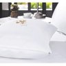 Protetor de Travesseiro Protect Malha Slim 50x70 Altenburg - 1