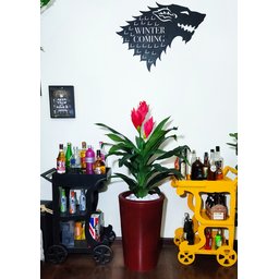 Bromélia Realista Decoração + Vaso Decorativo - 1