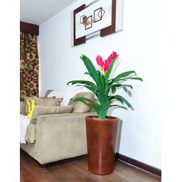 Bromélia Realista Decoração + Vaso Decorativo - 5