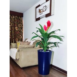 Bromélia Realista Decoração + Vaso Decorativo - 7
