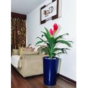 Ver imagem 7 de Bromélia Realista Decoração + Vaso Decorativo