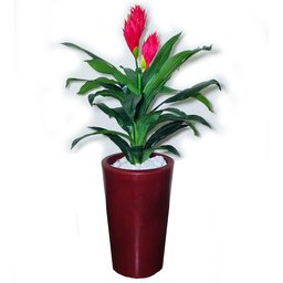 Bromélia Realista Decoração + Vaso Decorativo - 2