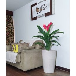Bromélia Realista Decoração + Vaso Decorativo - 4