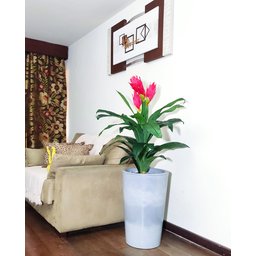 Bromélia Realista Decoração + Vaso Decorativo - 6