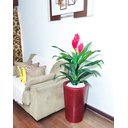 Ver imagem 3 de Bromélia Realista Decoração + Vaso Decorativo