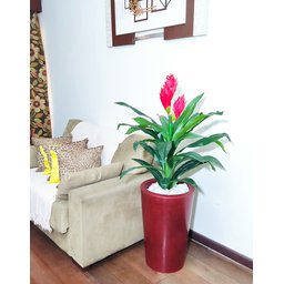Bromélia Realista Decoração + Vaso Decorativo - 3