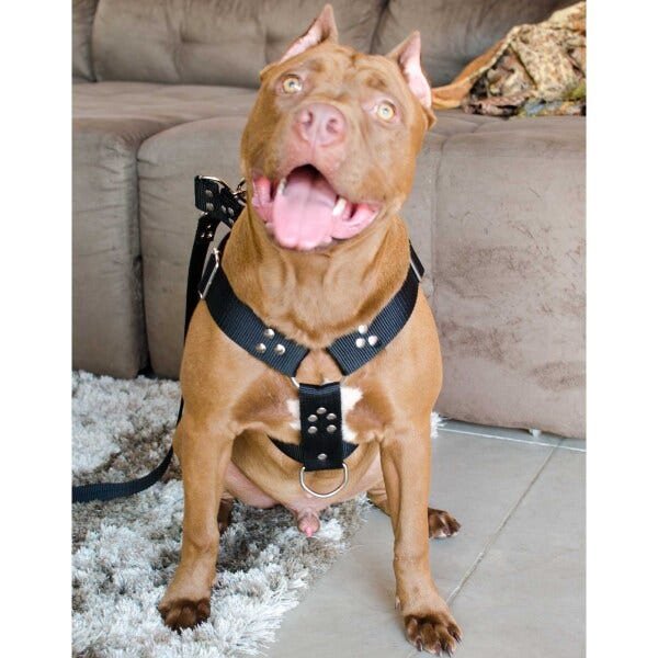 Coleira de cachorro de couro genuíno cravejada de luxo para pit bull  Doberman de raça grande G GG