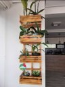 Ver imagem 3 de Floreira, Jardim Vertical, Decoração, Painel de Plantas Jv3