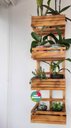 Ver imagem 2 de Floreira, Jardim Vertical, Decoração, Painel de Plantas Jv3