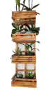 Ver imagem 1 de Floreira, Jardim Vertical, Decoração, Painel de Plantas Jv3