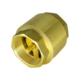 Válvula de Retenção Vertical Metal de 1.1/4" Polegada - 2