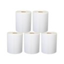 Ver imagem 1 de Kit Etiqueta Adesiva Couchê Impressora Térmica 100x150mm 5un