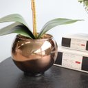 Ver imagem 3 de Kit com 2 Arranjos Flor Artificial Orquídea Tigre e Peperômia no Vaso de Vidro Bronze